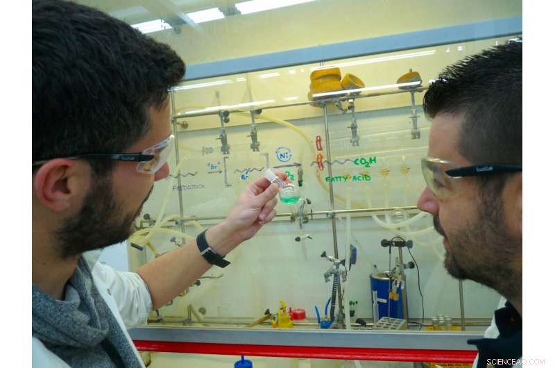 Nickel Catalyst Converts Hydrocarbons into Fatty Acids—A Breakthrough in Sustainable Chemistry