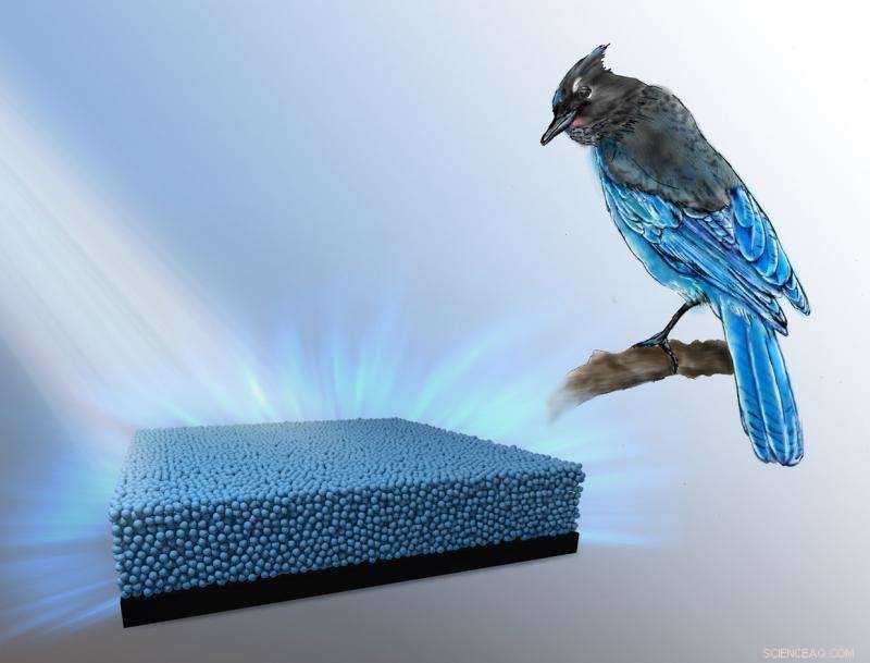 Researchers Mimic Bird Feathers to Create Vibrant, Long-Lasting Structural Colors