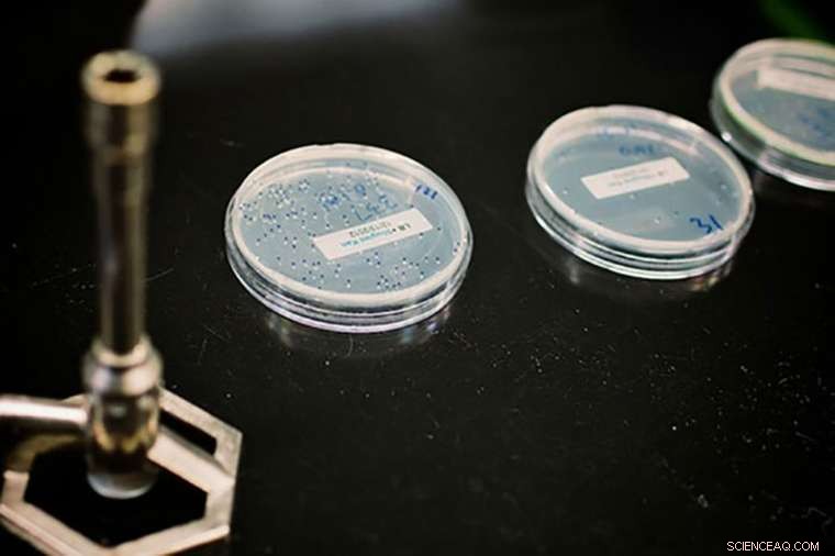 New Strategies to Counter Emerging Antibiotic-Resistant Superbugs