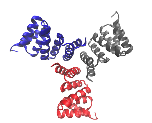 Design and Structural Analysis of Self‑Assembling Cyclic Protein Homo‑Oligomers