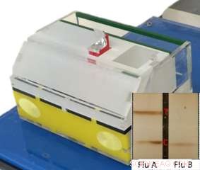 Preventing Flu Pandemics: A New Early Detection Breakthrough