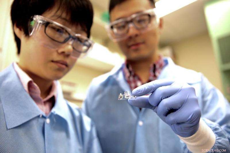 Lab Unveils Innovative Heart‑on‑a‑Chip for Safer Drug Testing