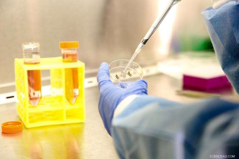 Lab Unveils Innovative Heart‑on‑a‑Chip for Safer Drug Testing