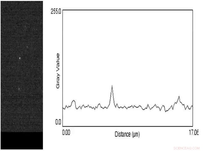 Revolutionary Nanoprobe Enables Protein Tracking on DNA