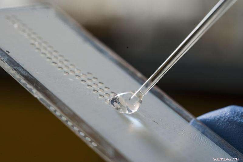 Miniaturized Test Tubes: Water Droplets Revolutionize Lab Analysis