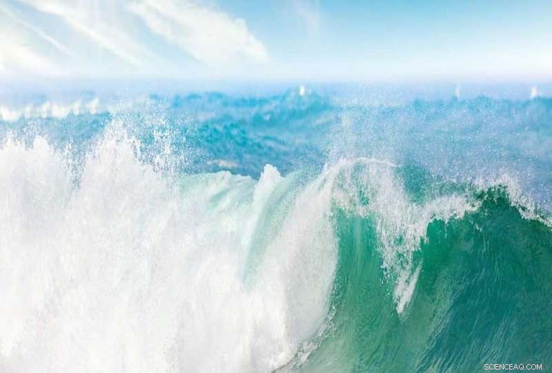 Plankton and Bacteria: Key Drivers of Ocean Spray Formation