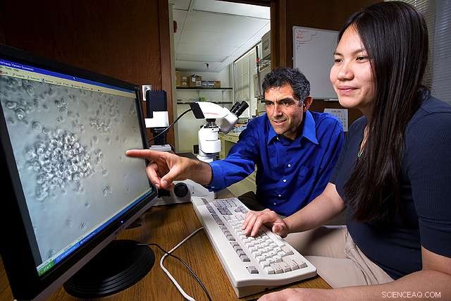 Rapid, Affordable Test Detects Foodborne Toxins with Precision