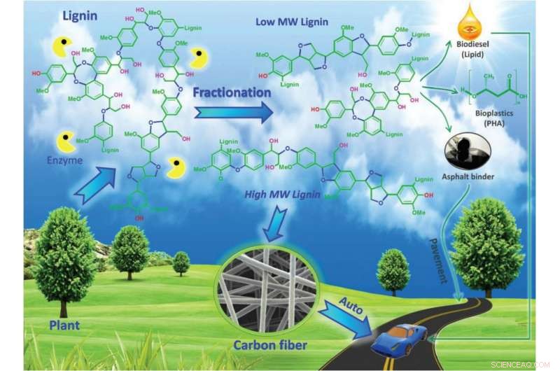From Waste to Wealth: Paper Industry Byproducts Spark New U.S. Manufacturing Jobs
