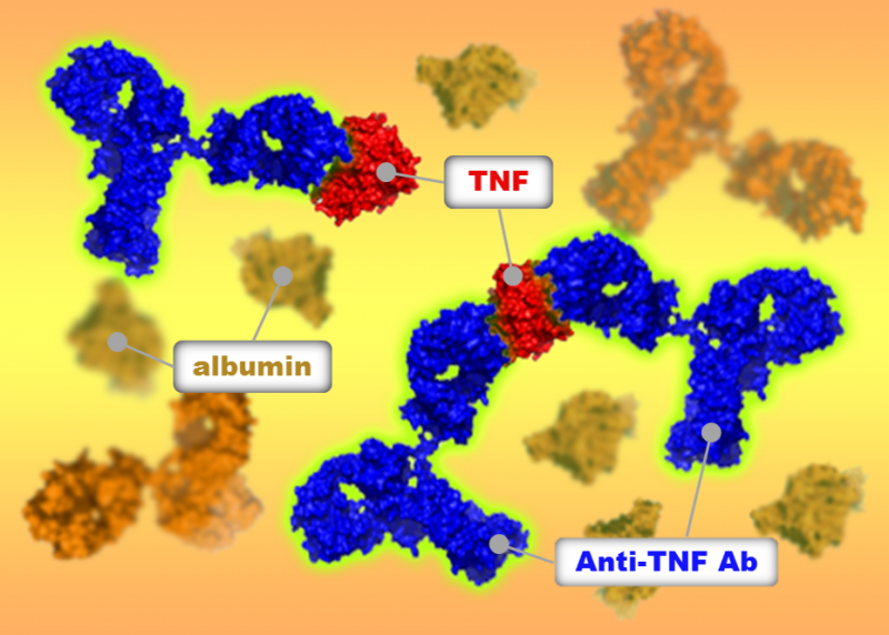 New Research Uncovers Distinct Drug-Target Interactions for TNF Antagonists