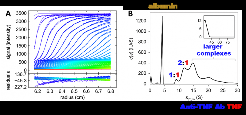 New Research Uncovers Distinct Drug-Target Interactions for TNF Antagonists