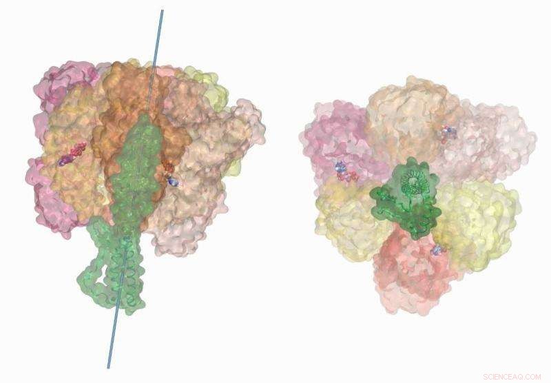 Titan Supercomputer Deciphers Bacterial Photosynthetic Machinery