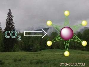 Engineering Luminescent Molecules Using Carbon Dioxide as a Key Feedstock