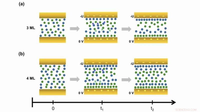 Real-Time Technique Reveals Ionic Liquid Behavior at Electrode Interfaces
