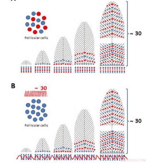 Cutting‑Edge Imaging Uncovers Hidden Feather Patterns in Seabirds