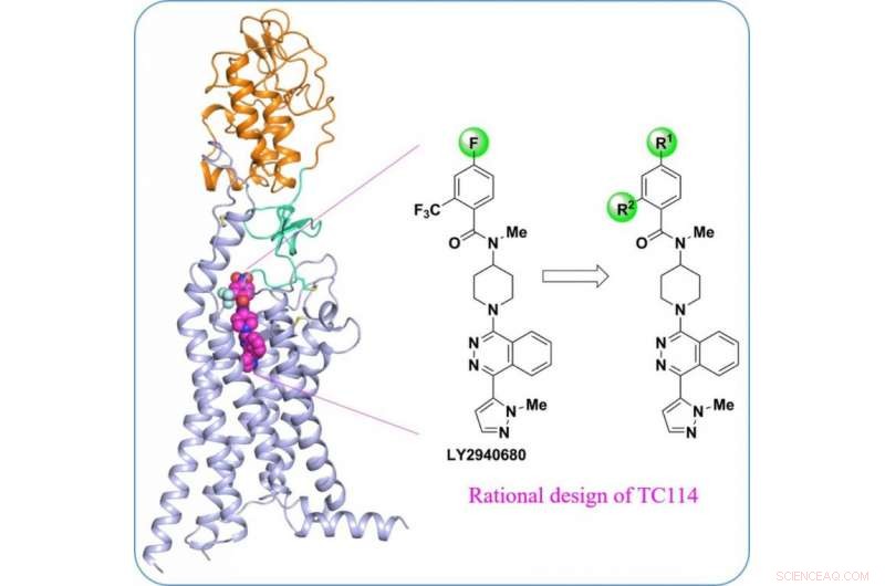 Scientists Reveal Full-Structure of Human Smoothened Receptor, a Key Cancer Drug Target