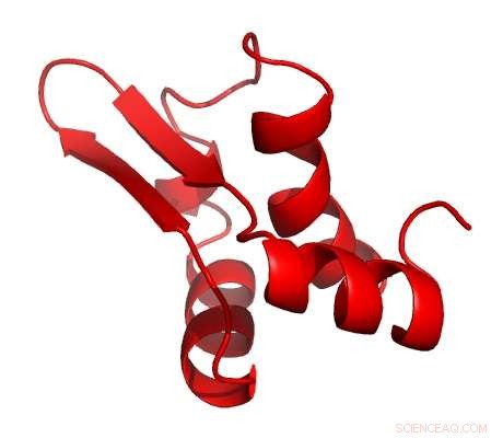 Virus Employs Dual-Target Attack on Bacteria, Revealing Novel Infection-Combat Strategies