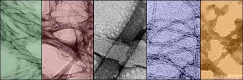 Light-Driven Shape‑Shifting Materials: Precise Control of Macroscopic Structures