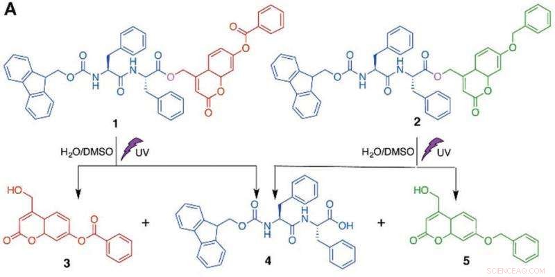 Light-Driven Shape‑Shifting Materials: Precise Control of Macroscopic Structures