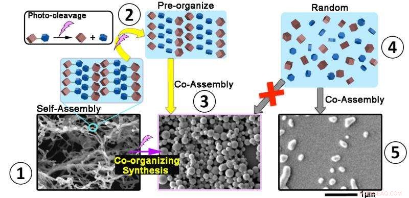 Light-Driven Shape‑Shifting Materials: Precise Control of Macroscopic Structures