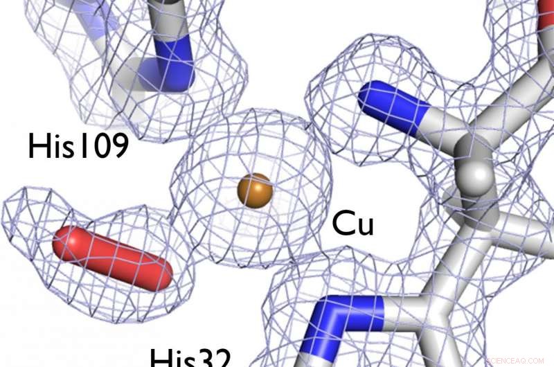 3D Enzyme Structure Insight Promises Lower Biofuel Costs