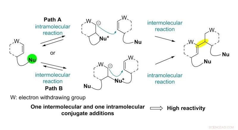 Accelerated Intermolecular Rauhut‑Currier Approach Enables First Total Synthesis of Dimeric Securinega Alkaloid (–)-Flueggenine C