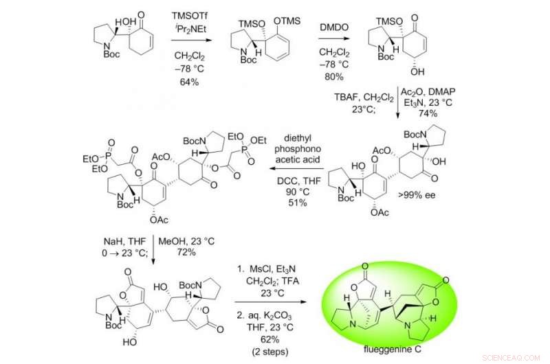 Accelerated Intermolecular Rauhut‑Currier Approach Enables First Total Synthesis of Dimeric Securinega Alkaloid (–)-Flueggenine C