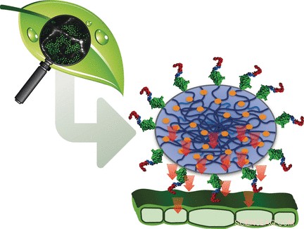 Revolutionary Micro-Delivery System Enhances Foliar Fertilization