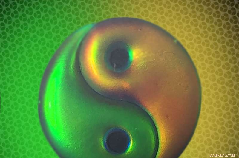 Self‑Healing Hydrogel with Dynamic Structural Color Inspired by Nature