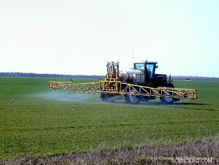 Caltech Study on Nitrogen Fixation Offers Breakthrough in Fertilizer Production