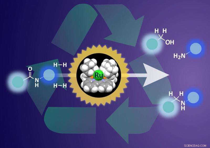 Scientists Develop Breakthrough Method to Decompose Plastic Waste