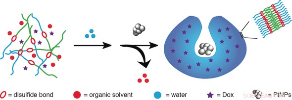 Redox‑Triggered Self‑Destructing Stomatocyte Nanomotor for Targeted Drug Delivery