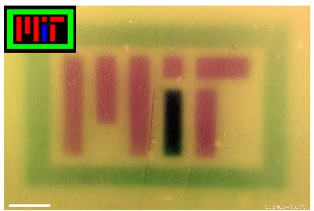 Harnessing RGB Light to Precisely Control Gene Expression in Engineered E. coli