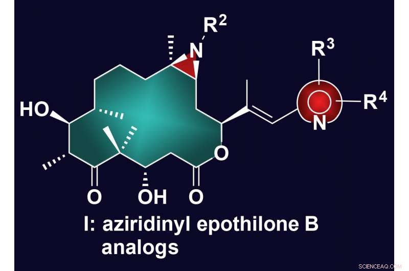 Rice Lab Develops Robust Yet Gentle Cancer‑Killing Compounds