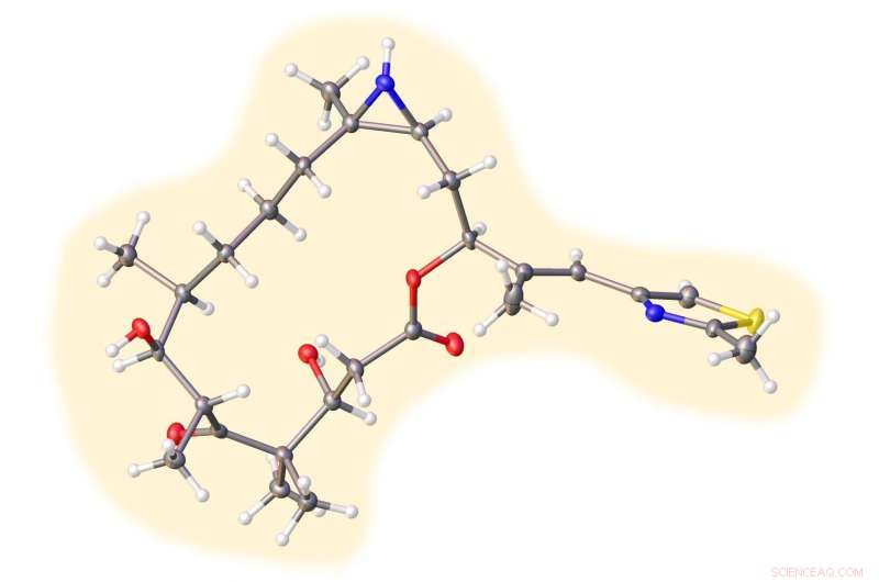 Rice Lab Develops Robust Yet Gentle Cancer‑Killing Compounds