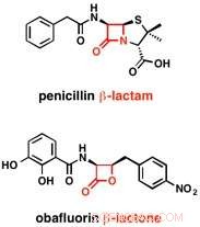 Rapid Antibiotic Synthesis: Lab Mimics Bacterial Enzymes to Create a New Clean, Efficient Drug Class