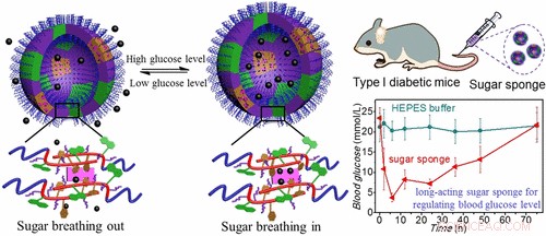 Smart Glucose‑Absorbing Sponges: Controlled Release for Diabetes Management