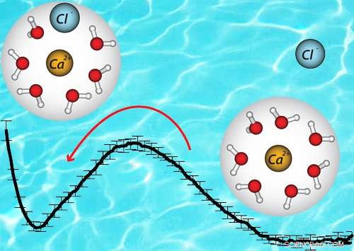 Unveiling the Link Between Two-Body Interactions and Collective Dynamics in Salt Liquids