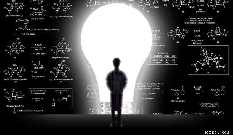 Yale Scientists Pioneer Innovative Pathway to Next-Gen Antibiotics