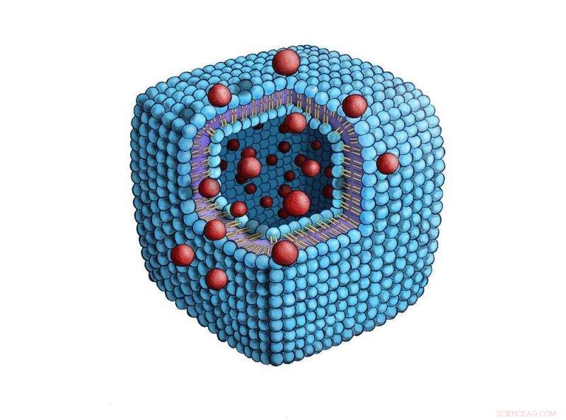 Scientists Reveal Self-Assembled Cuboid Structures of Phosphorus-Containing Lipids