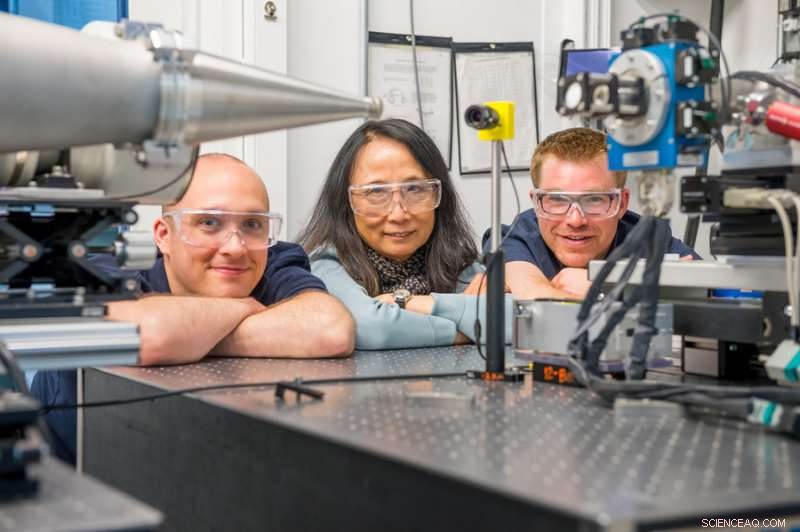 Cobalt Catalysis Reveals Rapid Pathway to Solar Fuel Generation