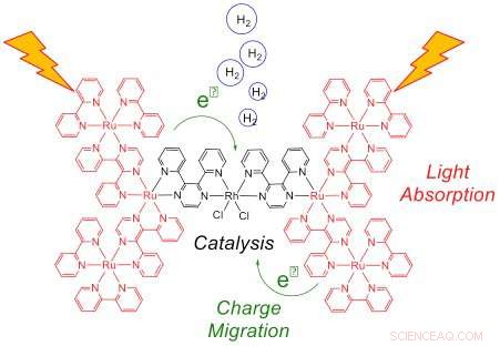 Scientists Engineer Molecular System for Artificial Photosynthesis