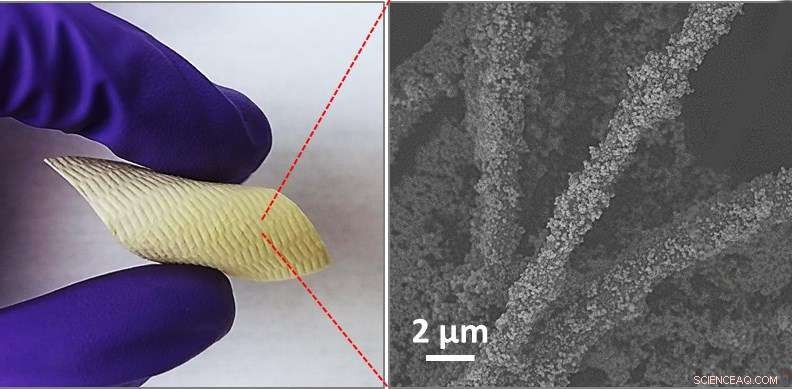 Innovative Fabric Coating Neutralizes Chemical Weapons, Protecting Lives