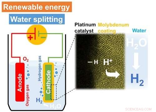 Molybdenum Coating Enhances Platinum Catalysts for Efficient Hydrogen Production
