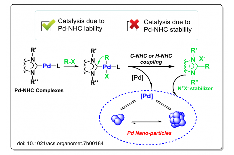 Rapid Decomposition of Metal‑NHC Complexes: Catalytic Conditions and the Critical Role of NHC‑Stabilized Nanoparticles