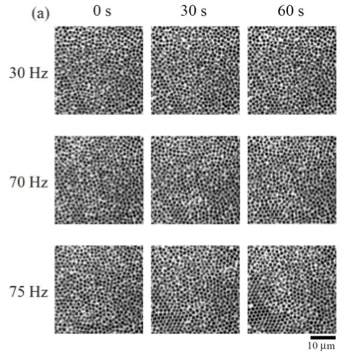 Enhancing Material Crystallization Through Controlled Agitation