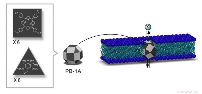 Engineered Nanochannels for Efficient Iodide Transport