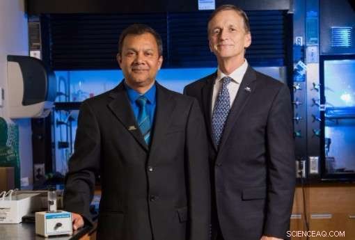 Fabric Phase Sorptive Extraction: Cost‑Effective, Rapid, and Sensitive Solution for Biological & Environmental Testing