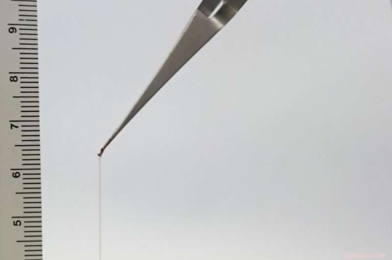 Scientists Create Mussel-Inspired Hydrogel Fibers for Advanced Materials