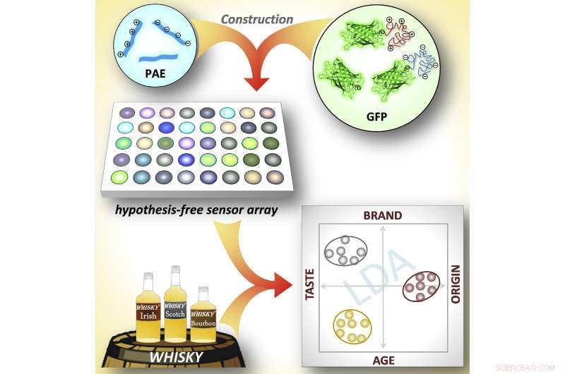 Scientists Develop Synthetic Tongue to Distinguish Whisky Profiles