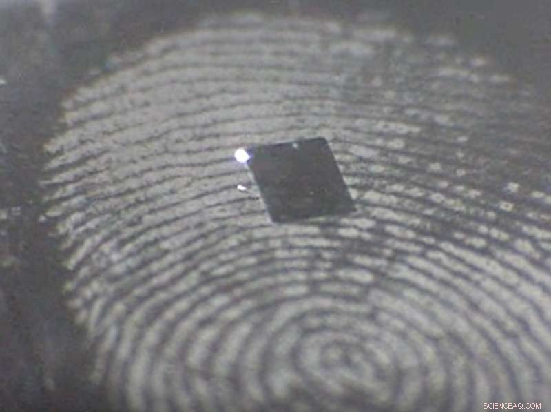 Eliminating Guesswork: Advanced Techniques for Forensic Fingerprint Analysis